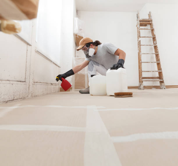 Inwood, NY Mold Removal Company
